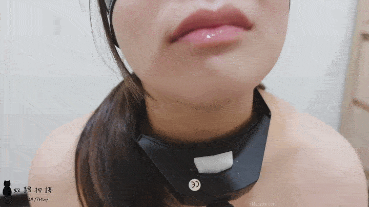 【奴隶物语】全系列最全合集【234V/109G】